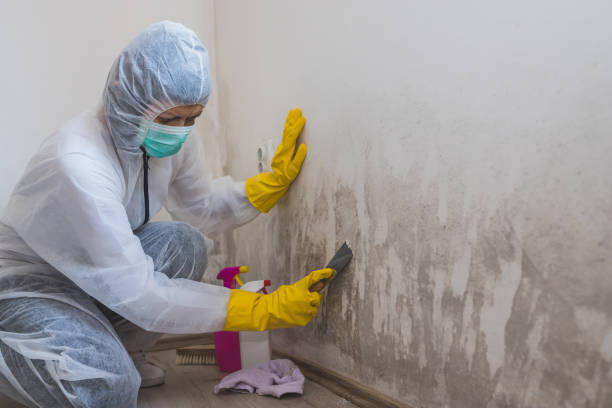 Best Office Mold Removal Services  in Balfour, NC