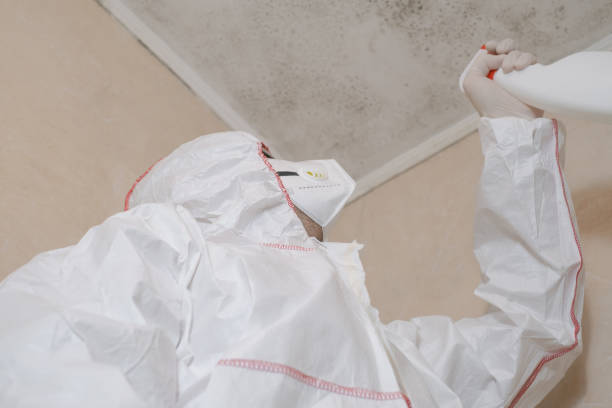 Best Mold Cleaning Services  in Balfour, NC