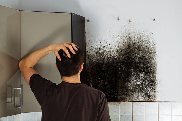 Best Certified Mold Removal  in Balfour, NC